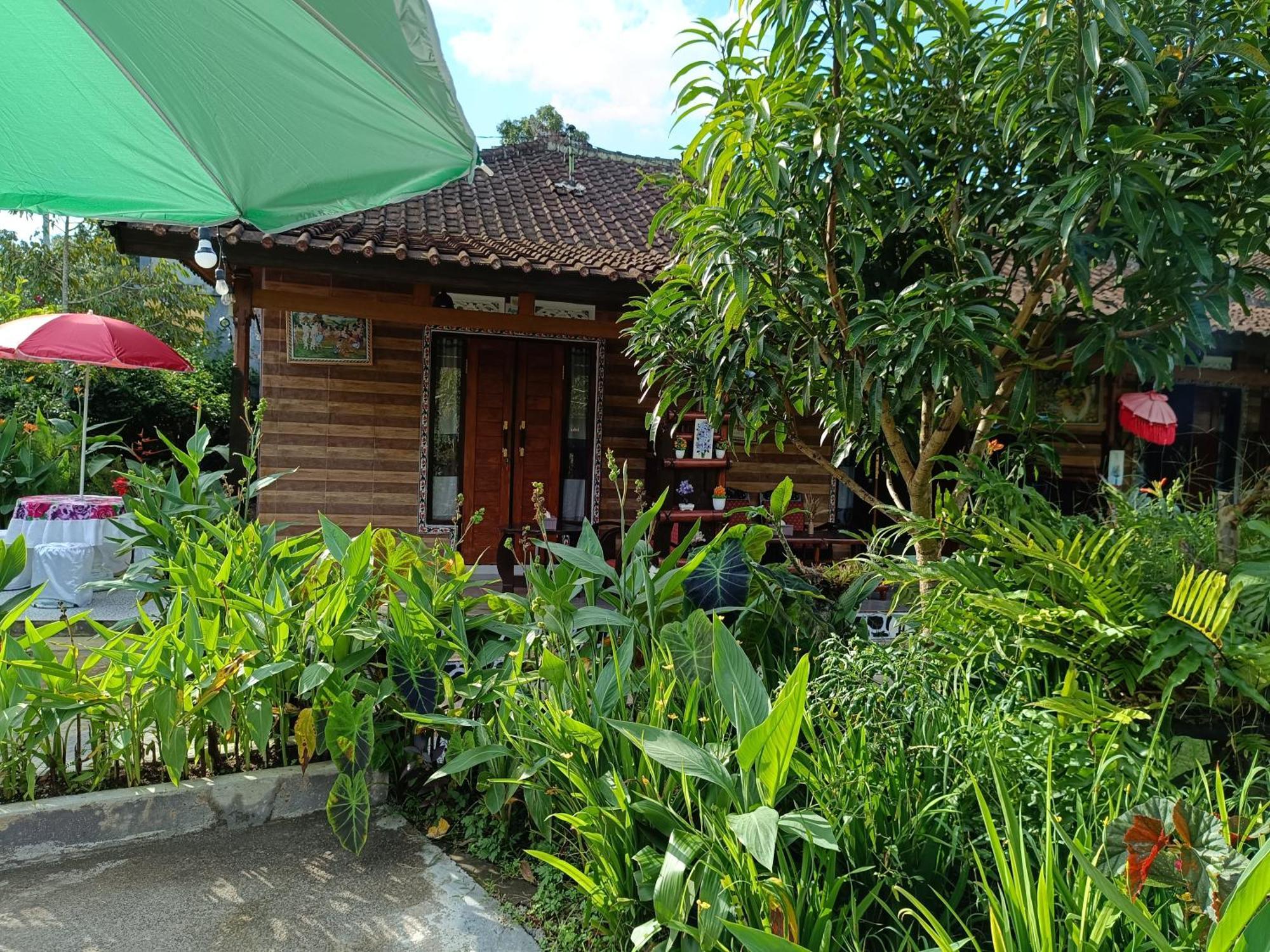 Ferienwohnung Gosela Bali Munduk Exterior foto