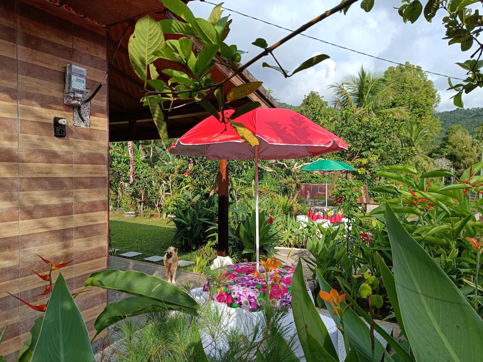 Ferienwohnung Gosela Bali Munduk Exterior foto